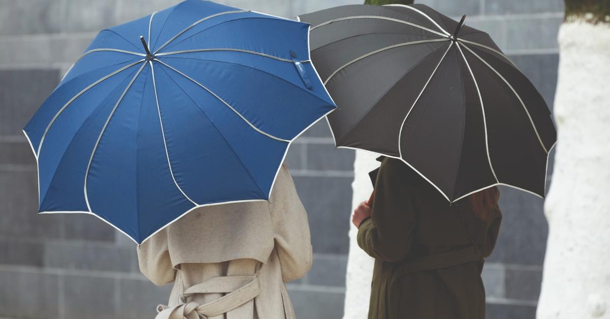 Nouvelle collection : Fraîcheur et innovation pour la saison pluvieuse