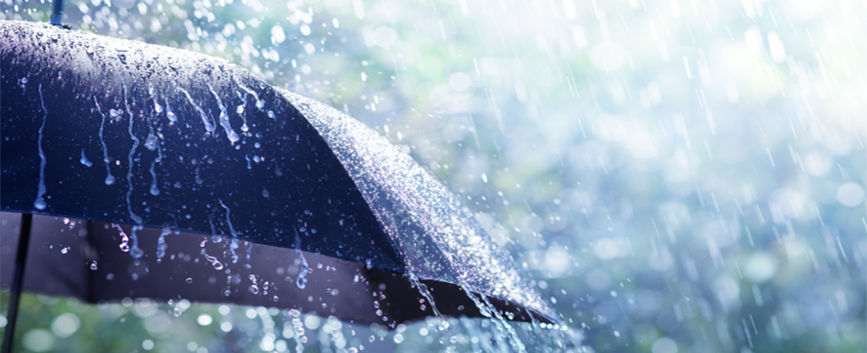 banner-image