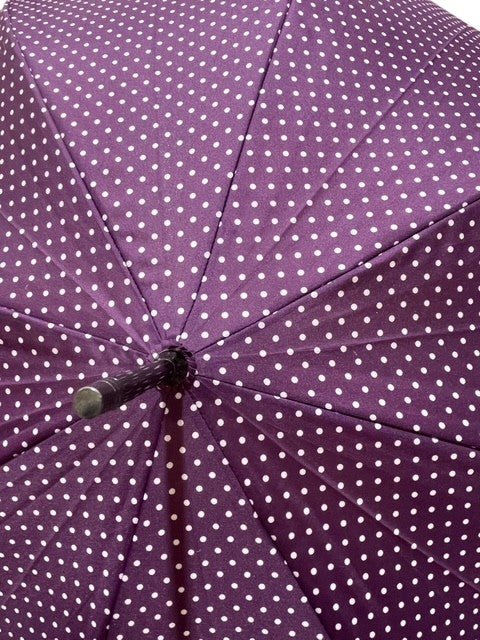 Long parapluie fiber flexgraphics  avec  canne - couleur Violet