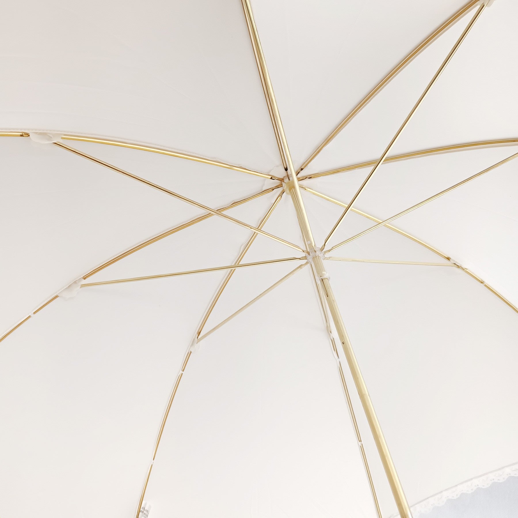 Long parapluie Vogue de cérémonie en dentelle - couleur Écru